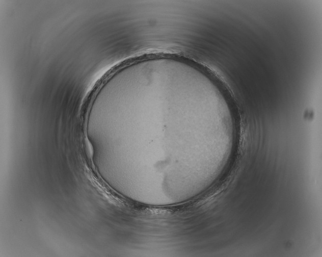 X0000114730878200911121752