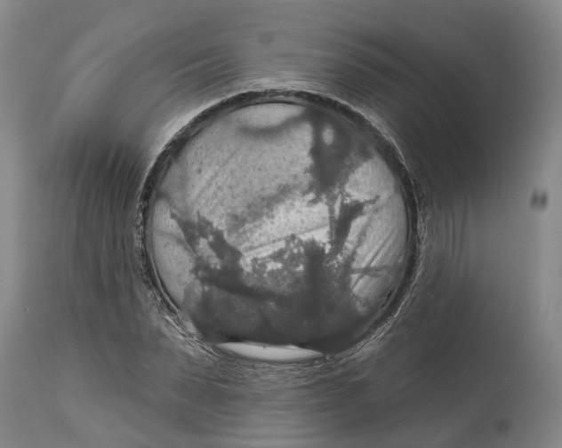 X0000114730879200911121752