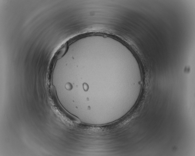 X0000114730880200911121752