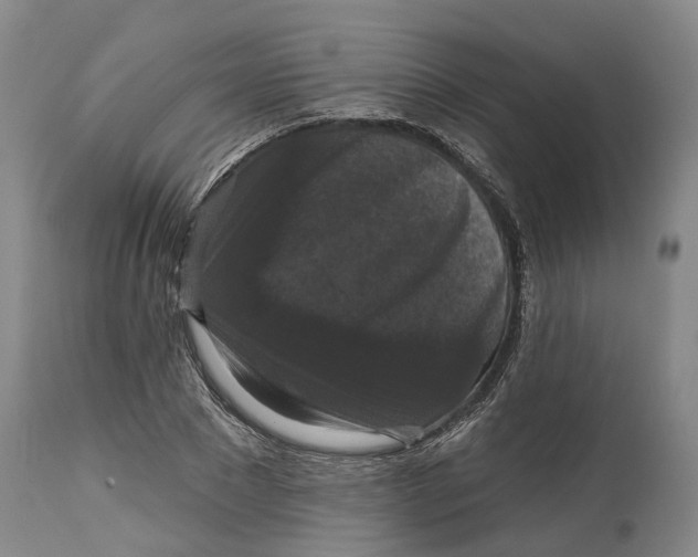 X0000114730881200911121752