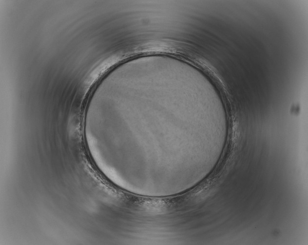 X0000114730882200911121752