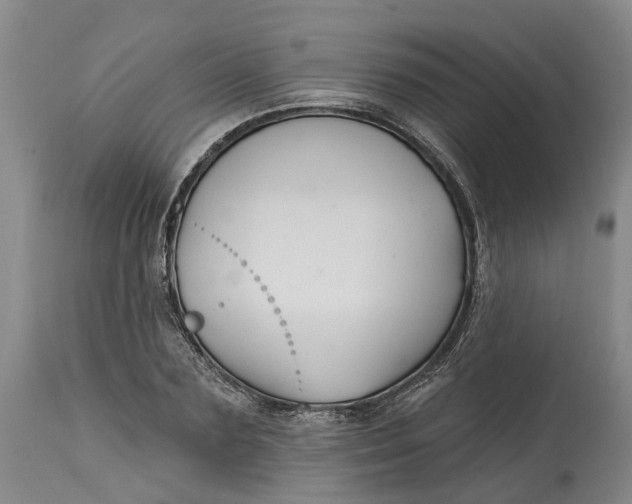 X0000114730883200911121752