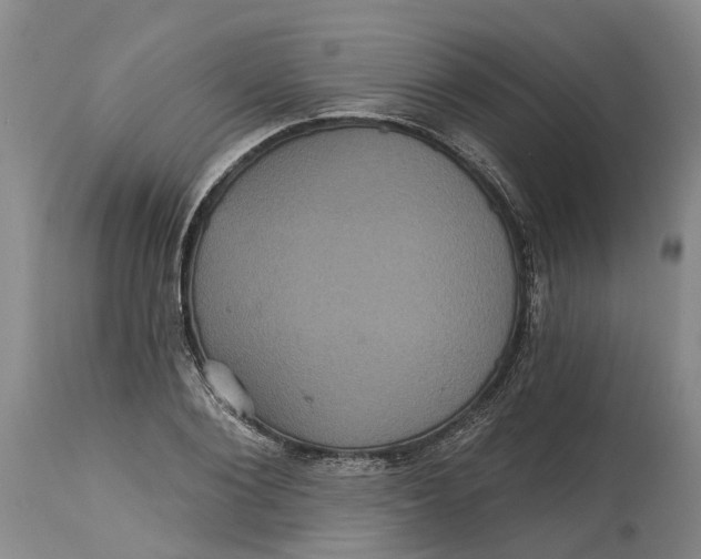 X0000114730884200911121752