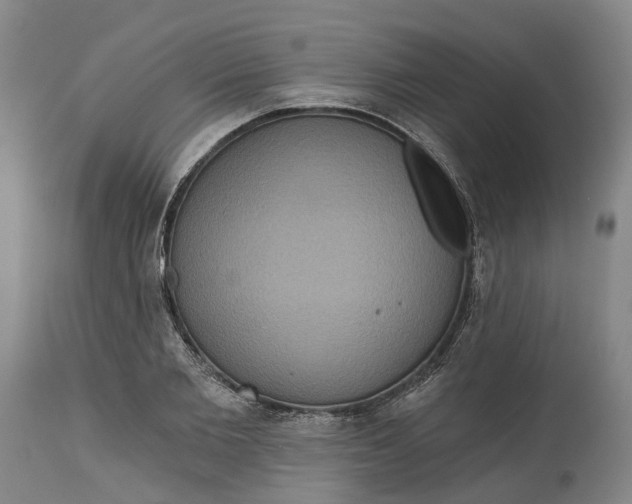 X0000114730885200911121752