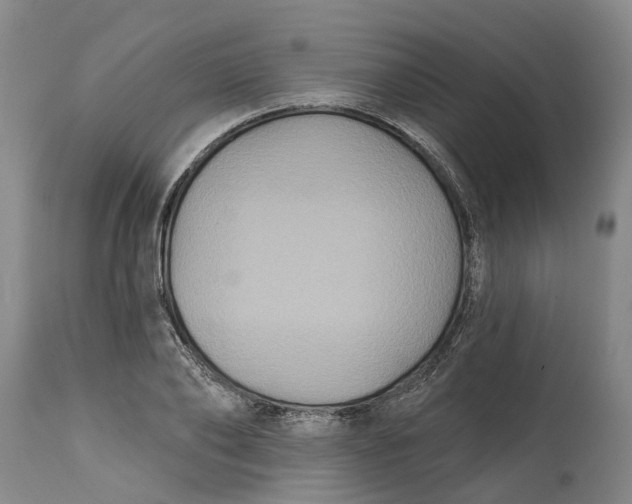 X0000114730886200911121752