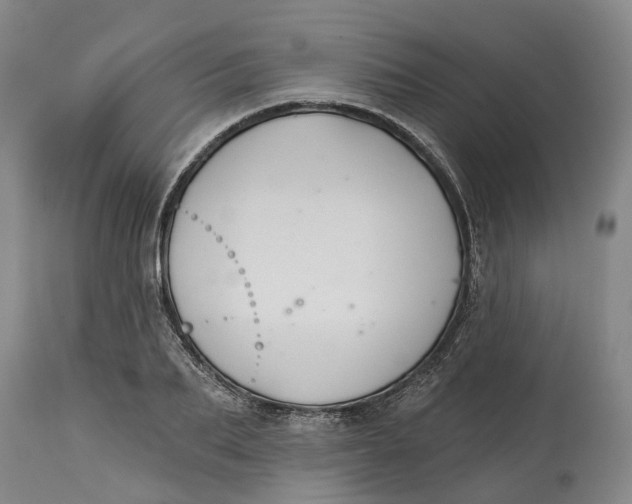 X0000114730887200911121752