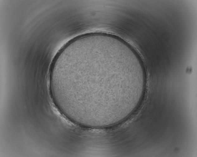 X0000114730888200911121752