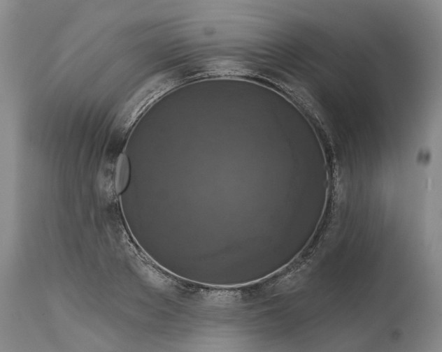 X0000114730889200911121752
