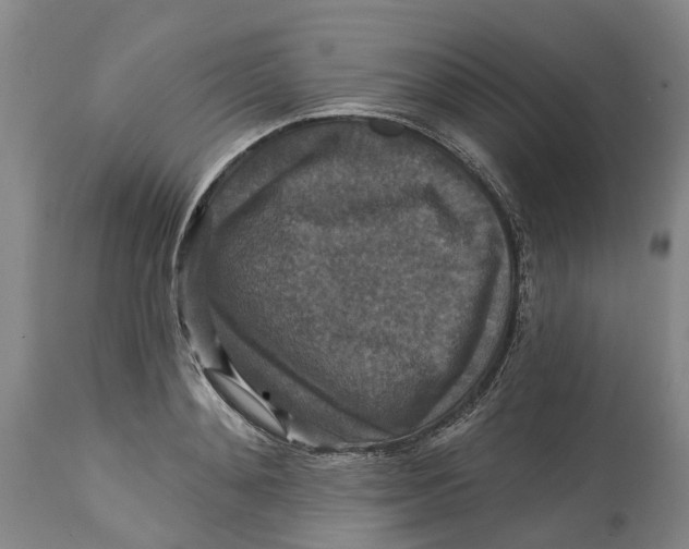 X0000114730892200911121752
