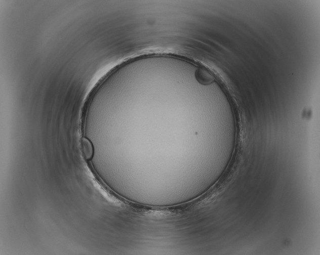 X0000114730894200911121752