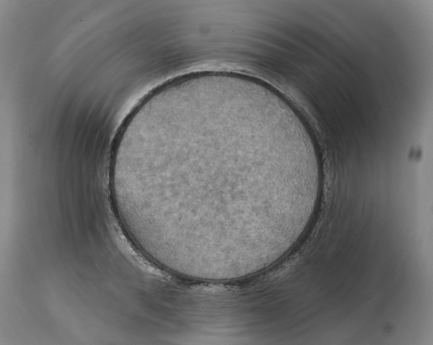 X0000114730896200911121752