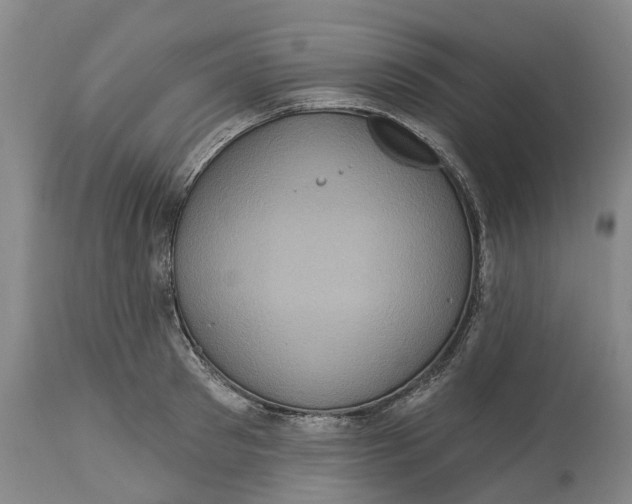 X0000114730897200911121752