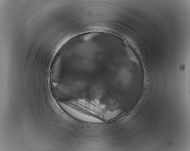 X0000114730899200911121752