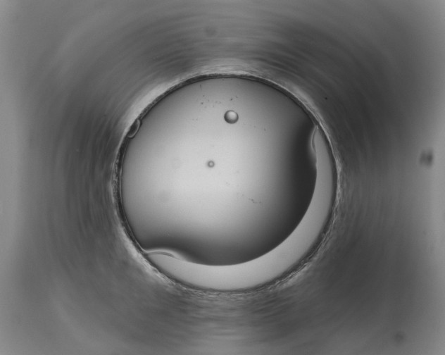 X0000114730901200911121752
