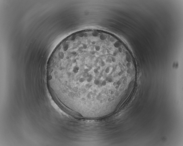 X0000114730903200911121752