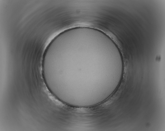 X0000114730904200911121752