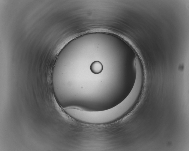 X0000114730905200911121752