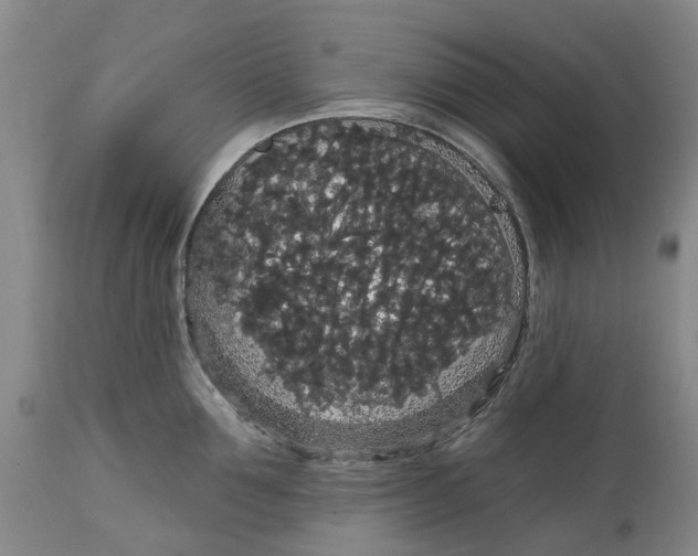 X0000114730907200911121752