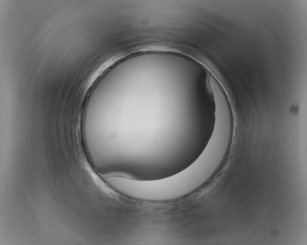 X0000114730909200911121752