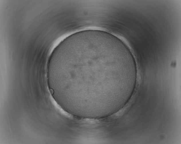 X0000114730910200911121752