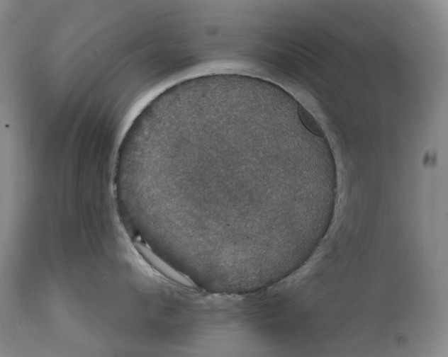 X0000114730912200911121752