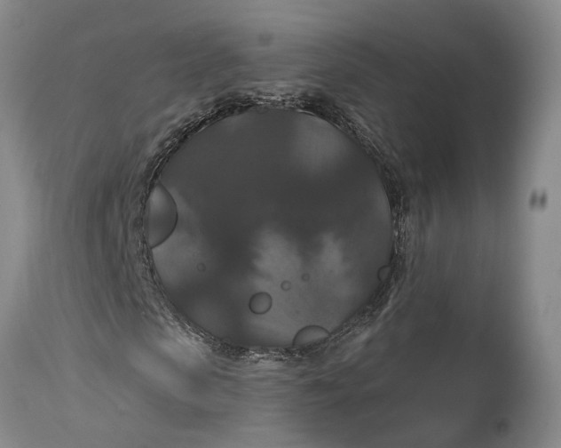 X0000114730913200911121751