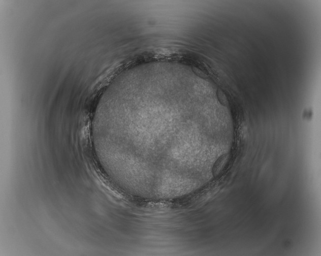 X0000114730914200911121751