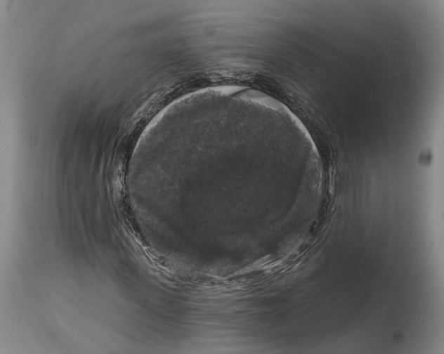 X0000114730915200911121751