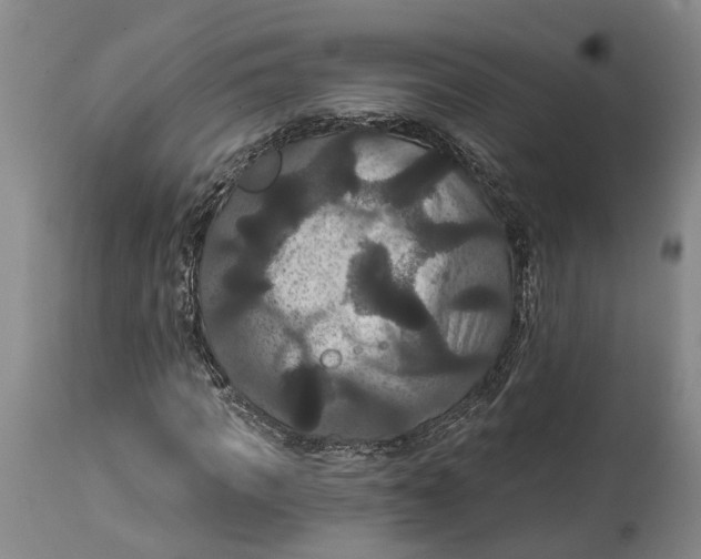 X0000114730917200911121751