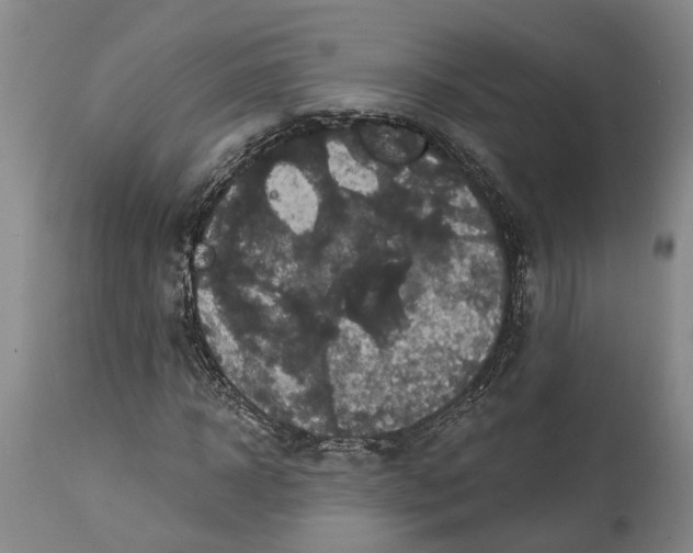 X0000114730918200911121751