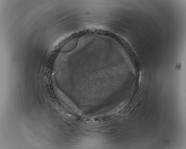 X0000114730919200911121751