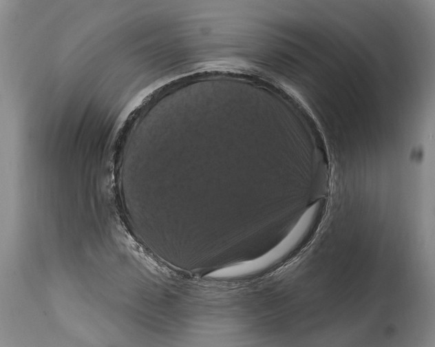 X0000114730923200911121751
