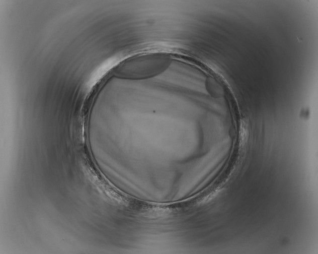 X0000114730925200911121751