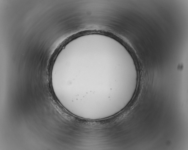 X0000114730927200911121751