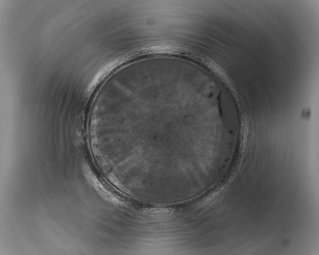X0000114730930200911121751