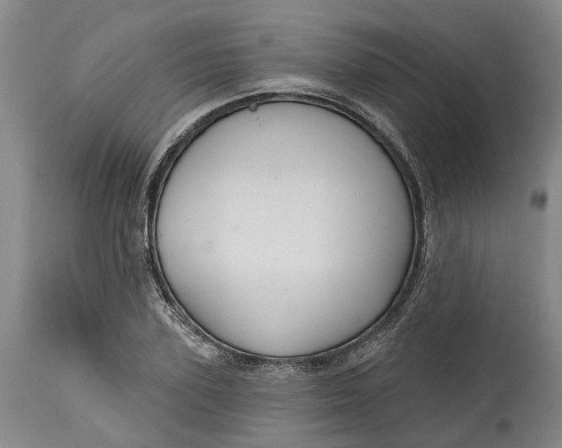 X0000114730931200911121751