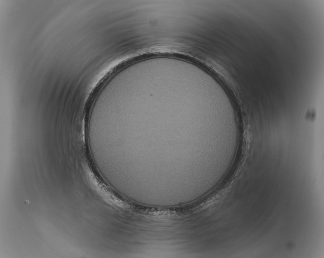 X0000114730934200911121751