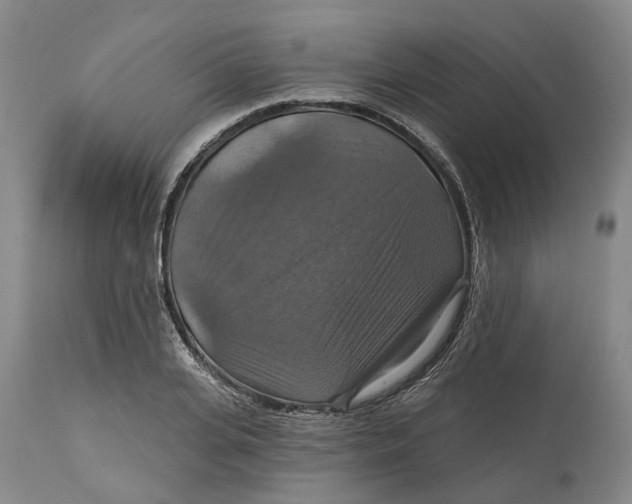 X0000114730935200911121751
