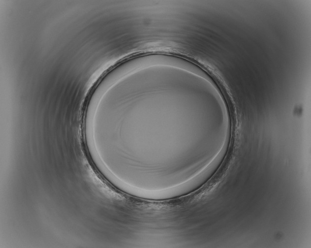 X0000114730941200911121751