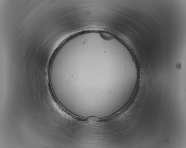 X0000114730942200911121751