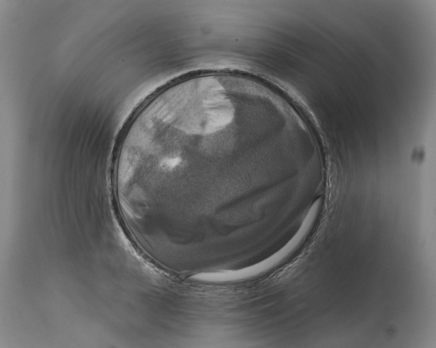X0000114730943200911121751
