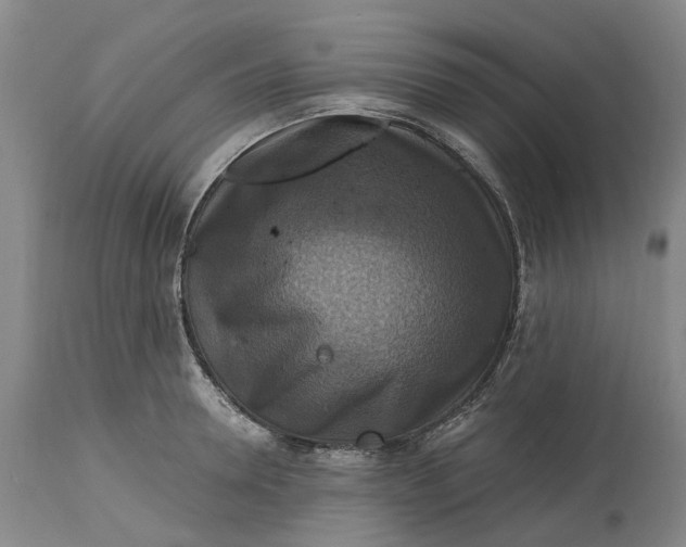 X0000114730946200911121751