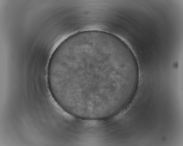 X0000114730949200911121751