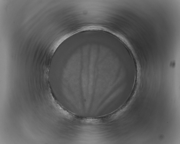 X0000114730953200911121751