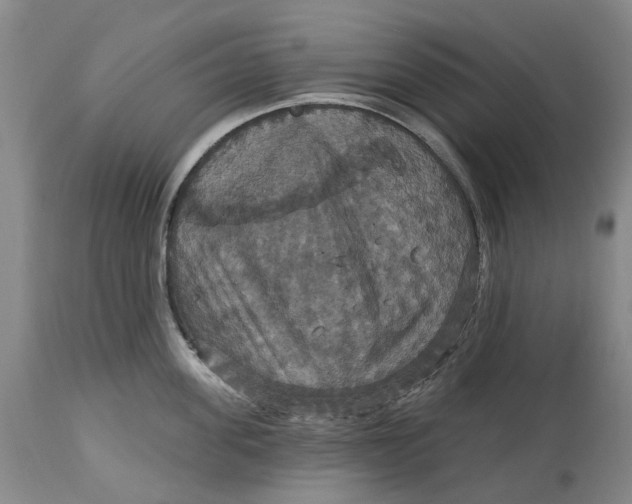 X0000114730955200911121751
