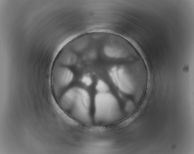X0000114730957200911121751