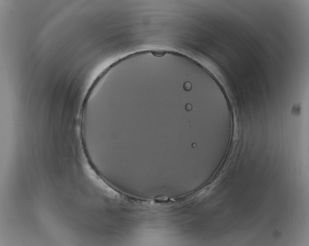 X0000114730958200911121751