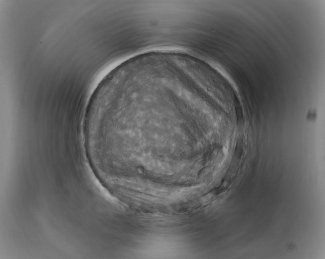 X0000114730959200911121751