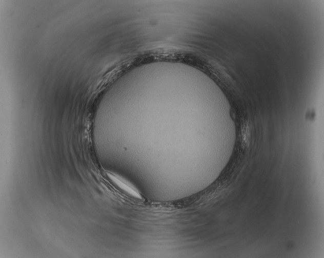 X0000114730964200911121751
