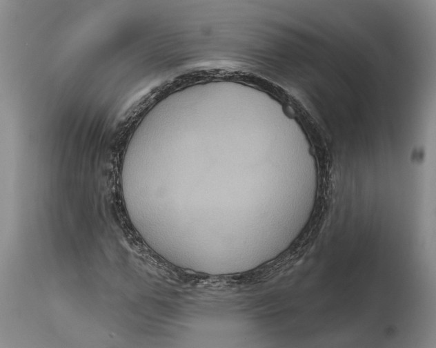 X0000114730967200911121751